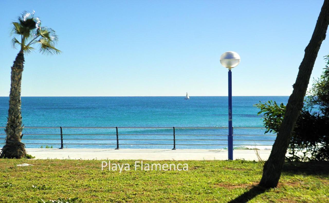 Apartment With Large Roof Solarium Dehesa de Campoamor  エクステリア 写真